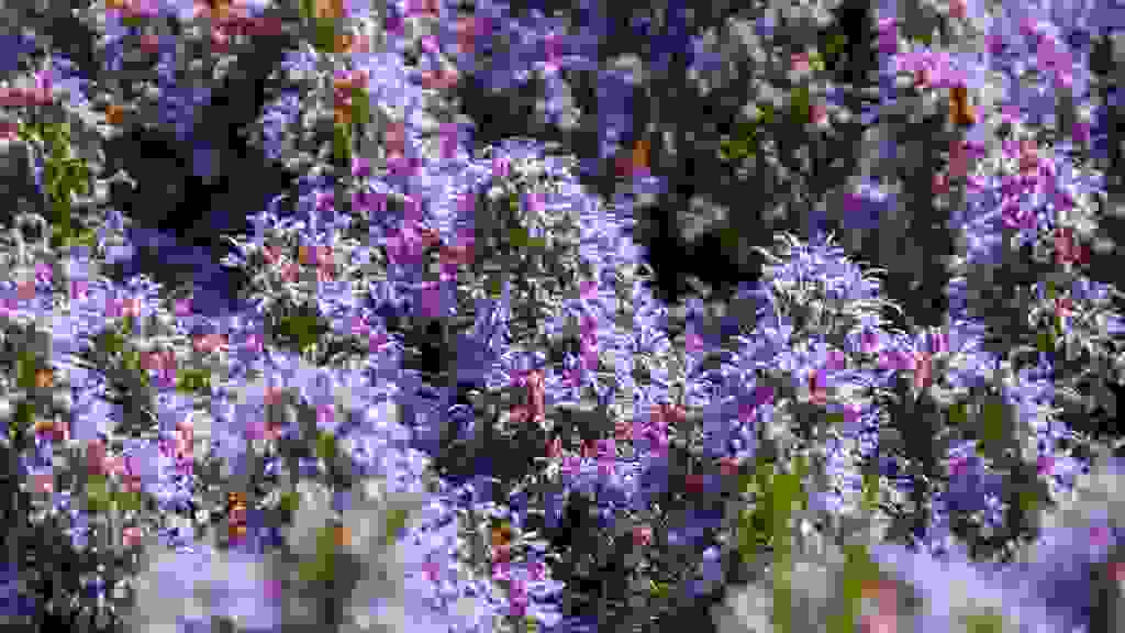 20250419114621-TFN-0281.jpg