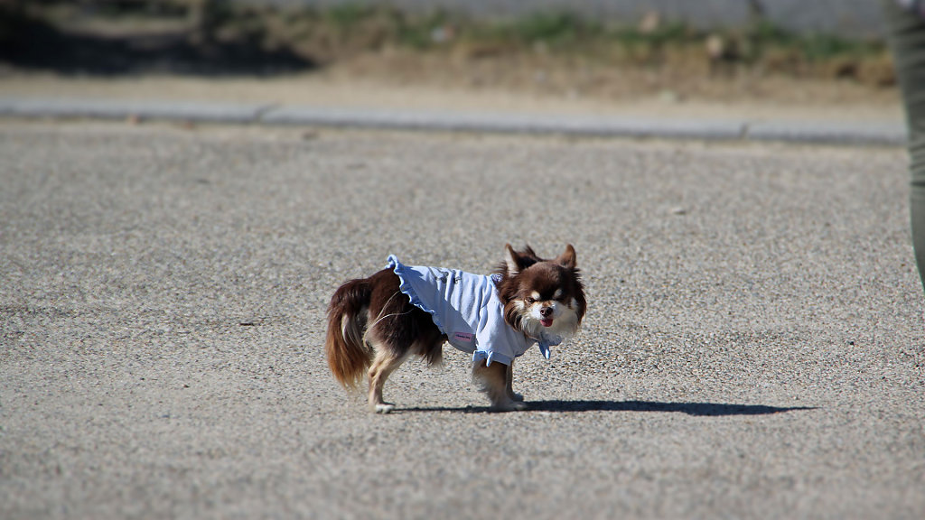 IMG-6214x.jpg