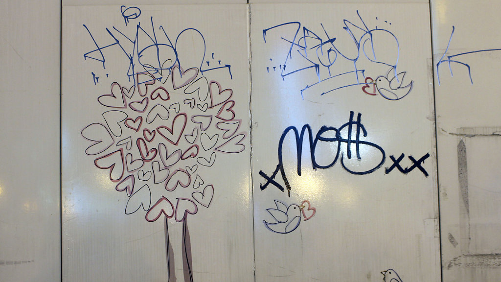 IMG-6542x.jpg