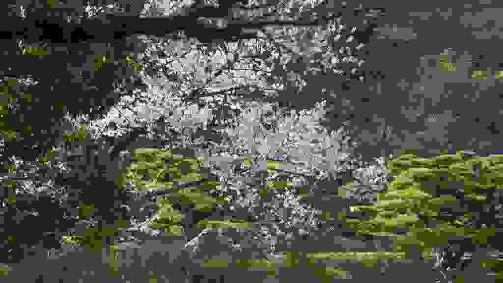 IMG-6721.jpg