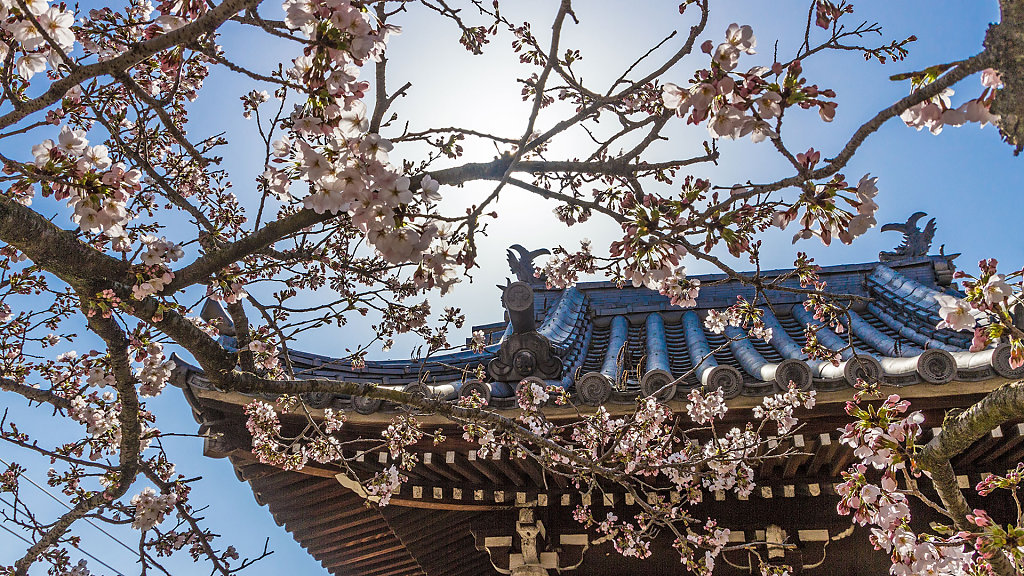 27.03. - 06.04.2015: Japan // 日本