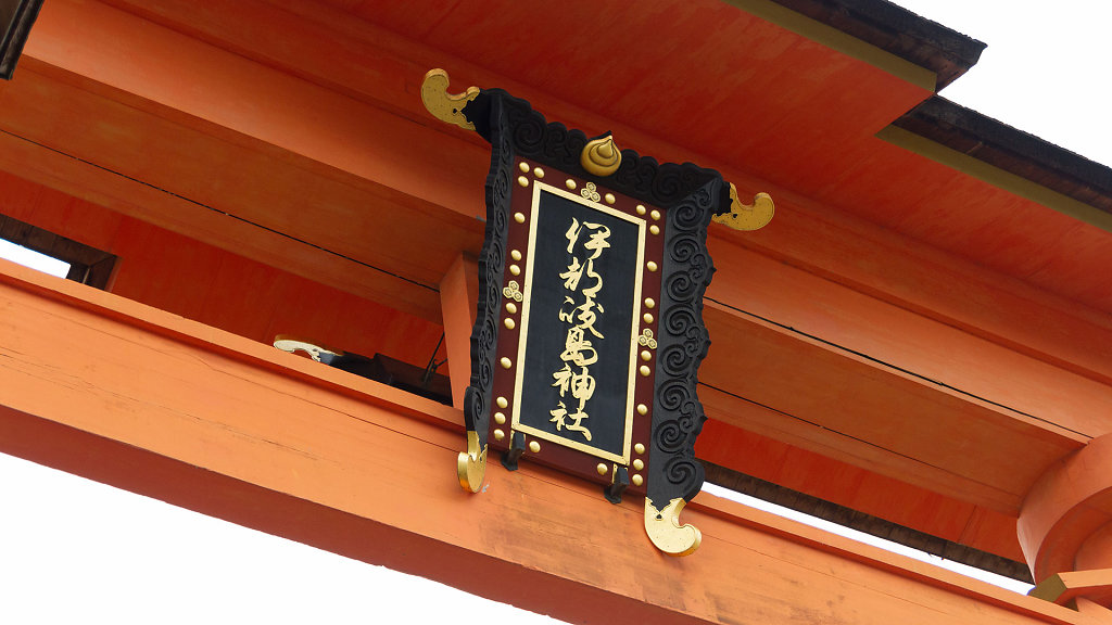 IMG-7294.jpg