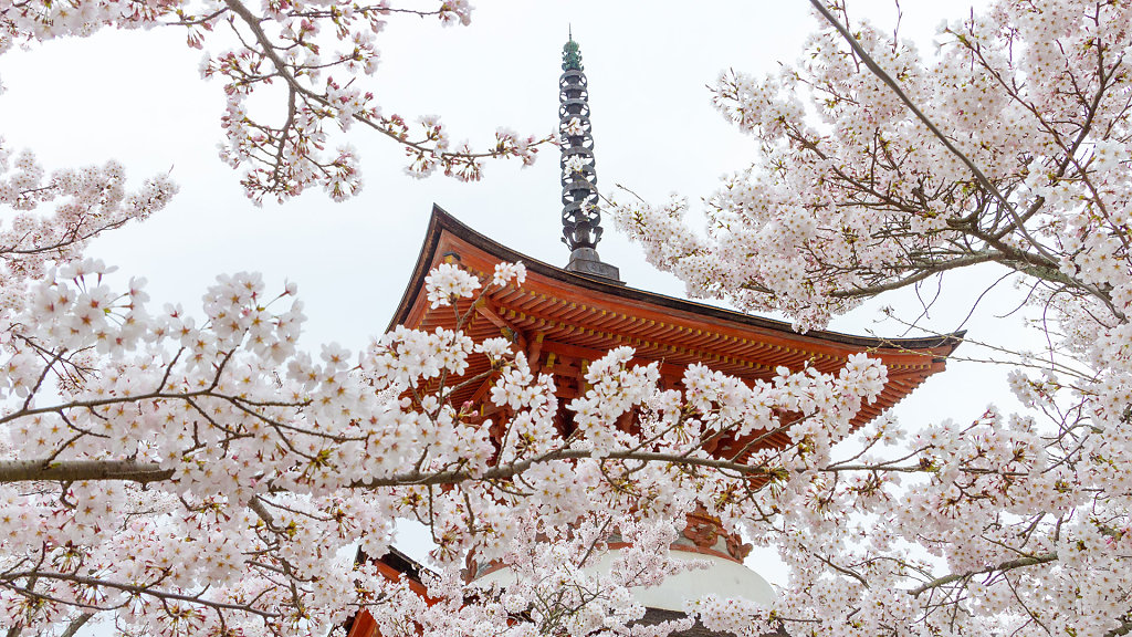 Itsukushima-Schrein