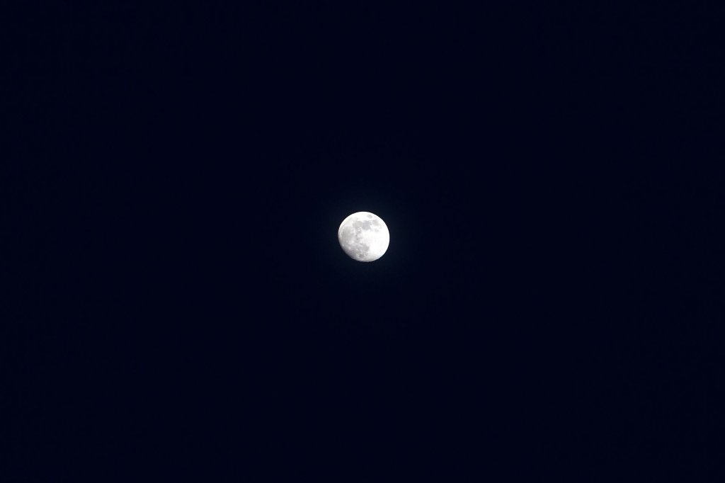 IMG-1923.jpg