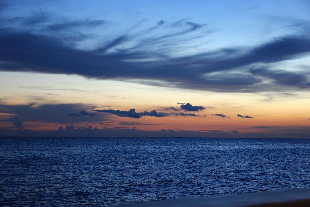 IMG-3937.jpg