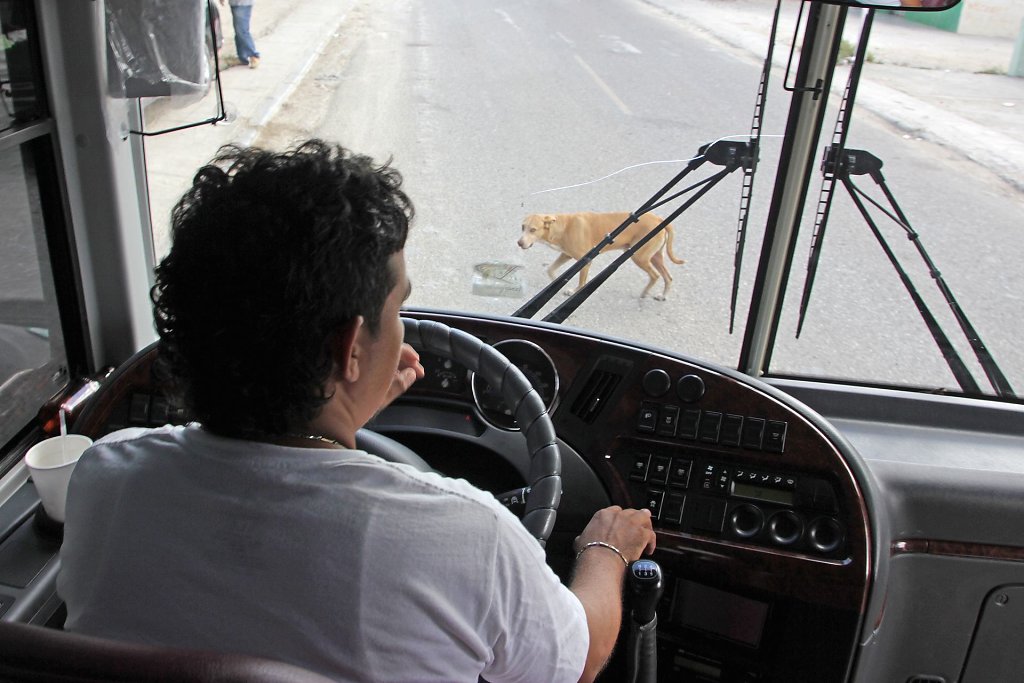 IMG-4222.jpg