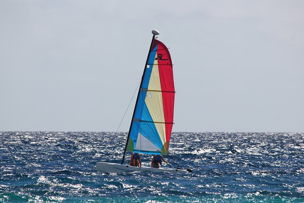 IMG-5984.jpg