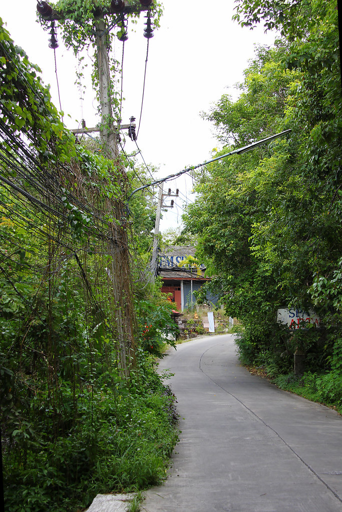 IMG-3699.jpg