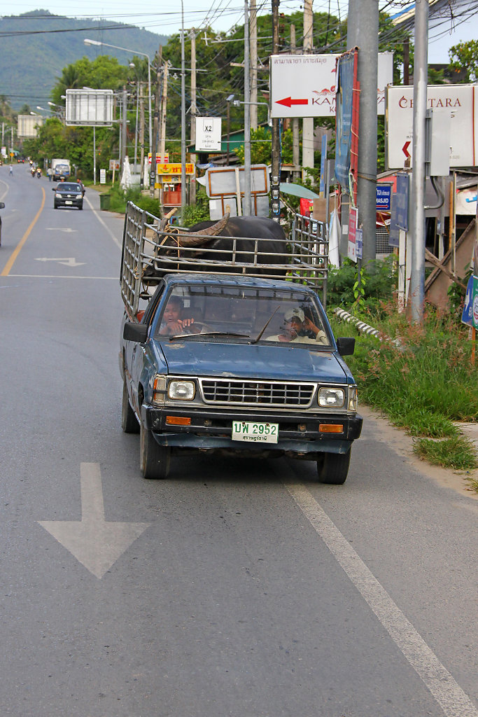 IMG-3736.jpg