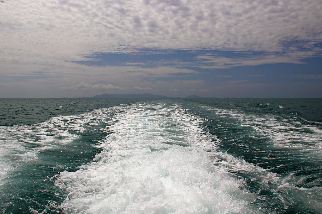 IMG-4461.jpg