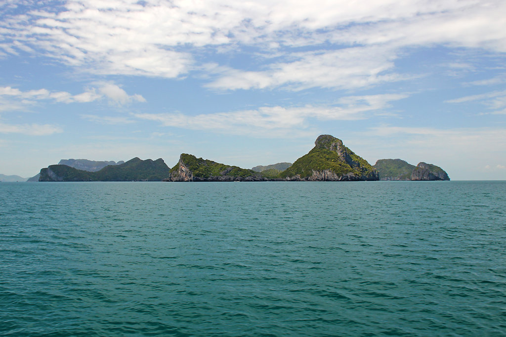 IMG-4470.jpg