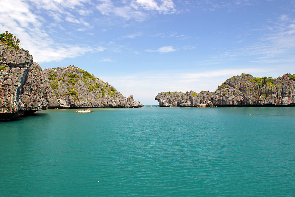 IMG-4490.jpg