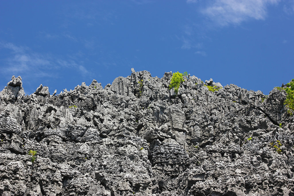 IMG-4507.jpg
