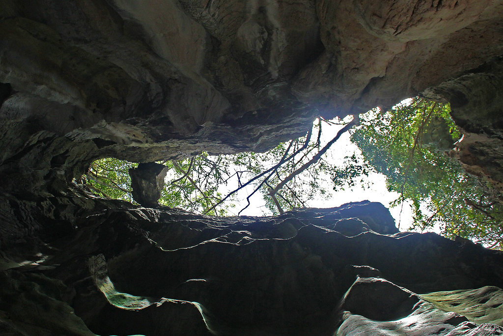 IMG-4592.jpg