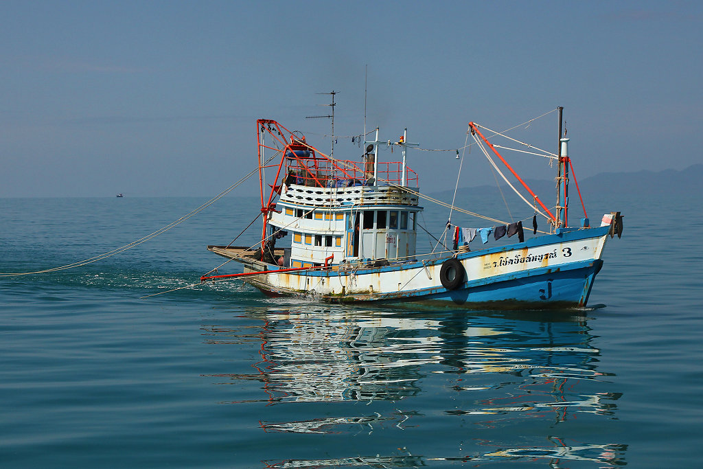 IMG-4674.jpg