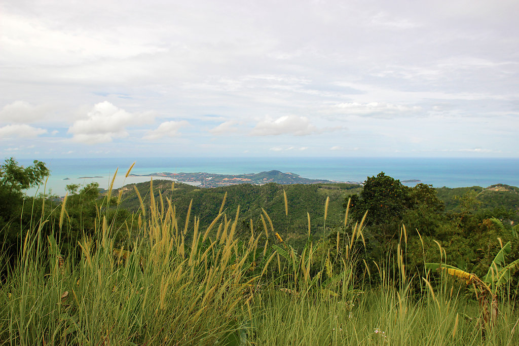 IMG-4776.jpg