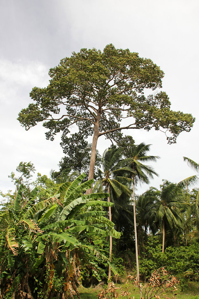 IMG-4777.jpg