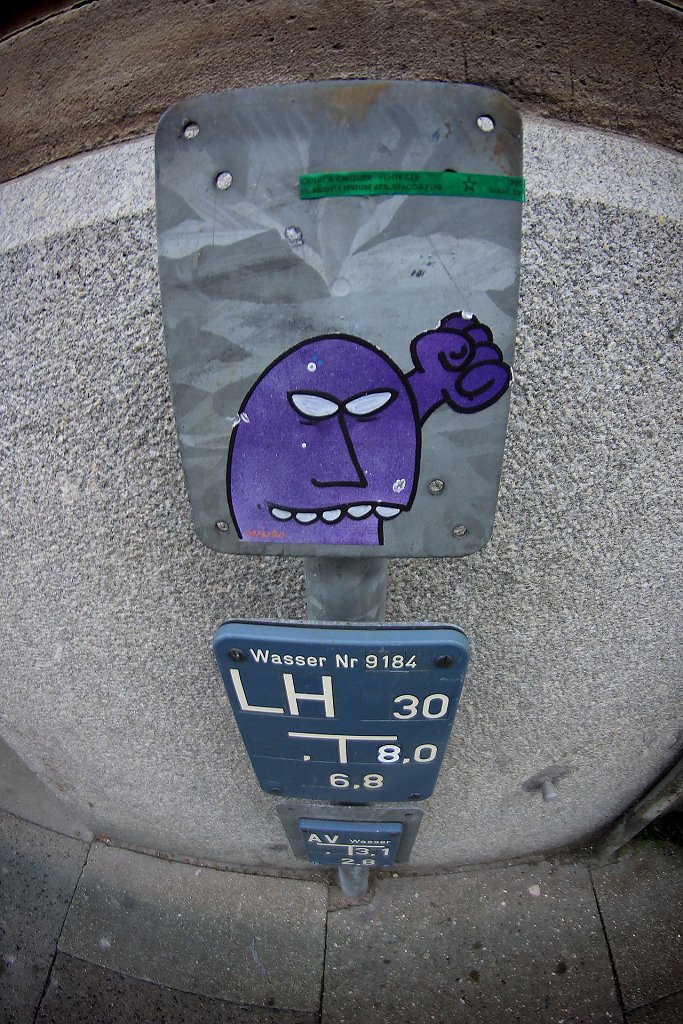 IMG-3295.jpg