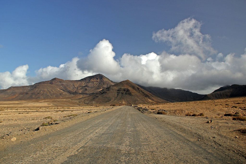IMG-8920.jpg