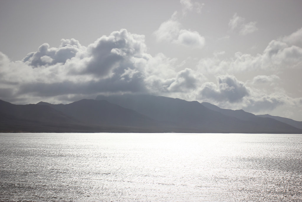 IMG-8931.jpg
