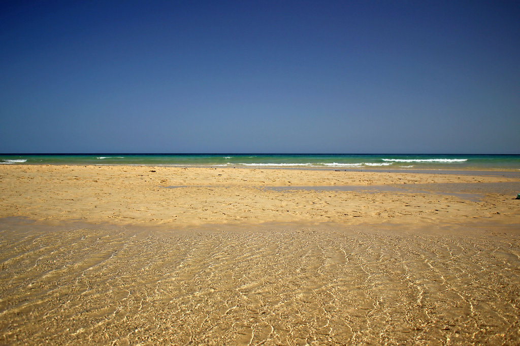 IMG-8364.jpg