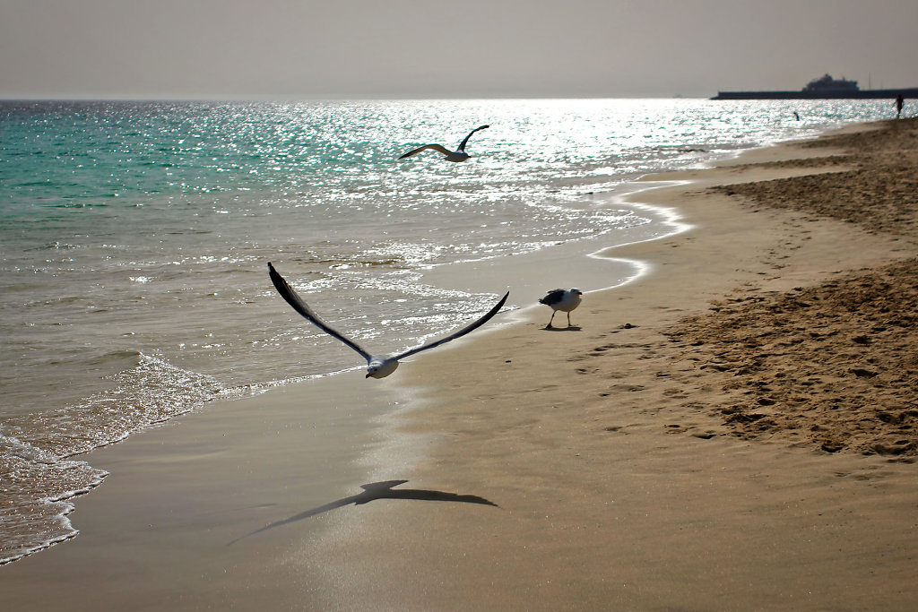 IMG-8374.jpg