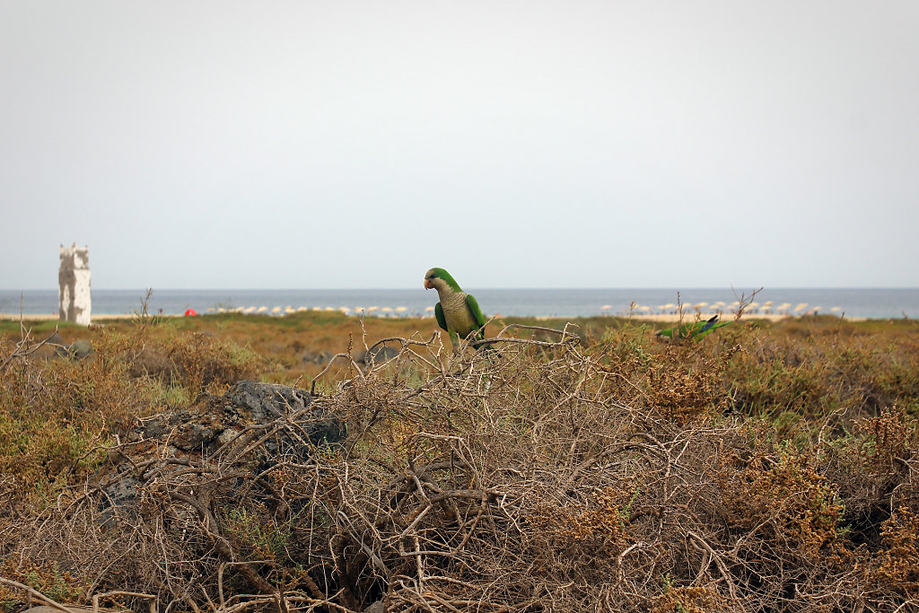 IMG-8773.jpg