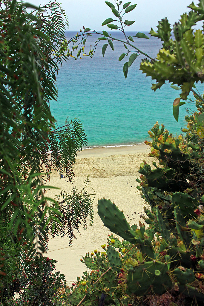 IMG-8788.jpg