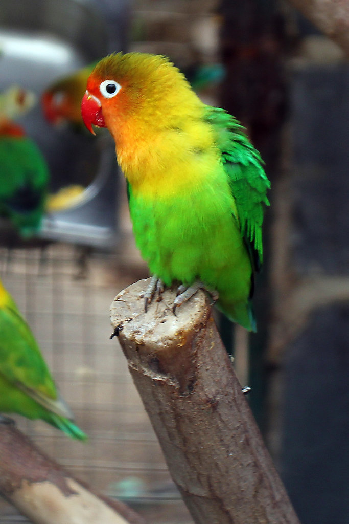 IMG-8829.jpg