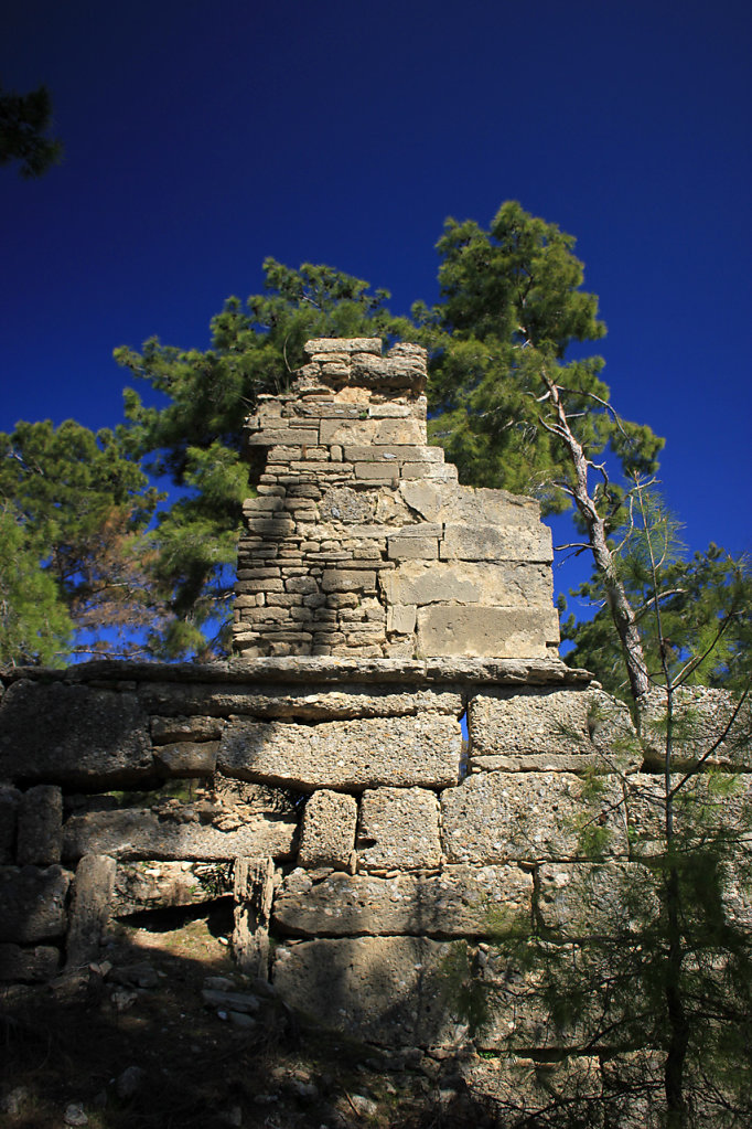 IMG-6668.jpg