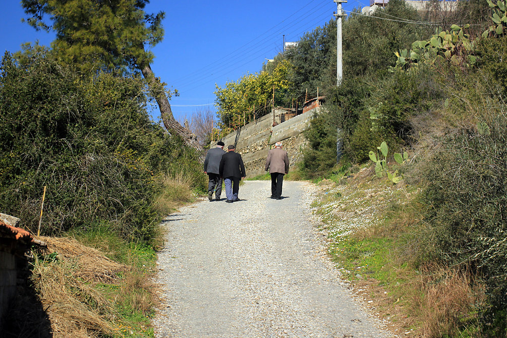 IMG-6688.jpg