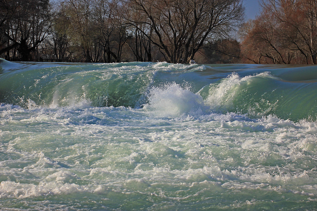 IMG-6853.jpg