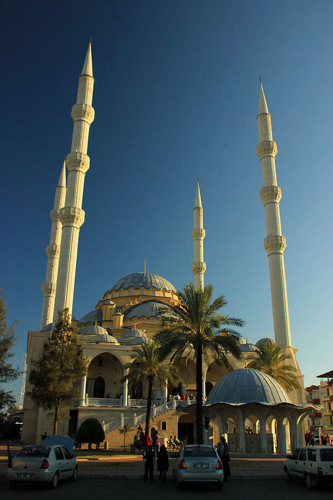 IMG-6884.jpg