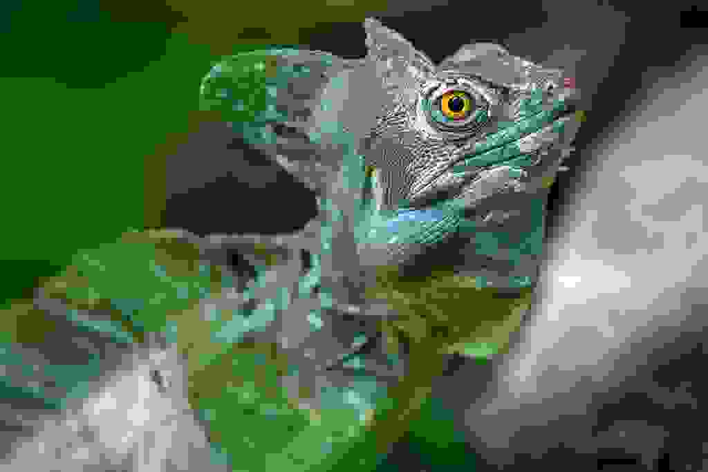 19.07.2015: Tropenaquarium