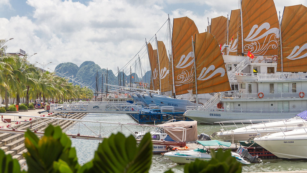 Paradise Cruises