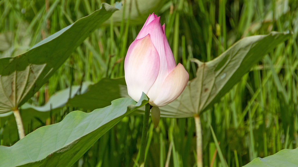 IMG-5476.jpg