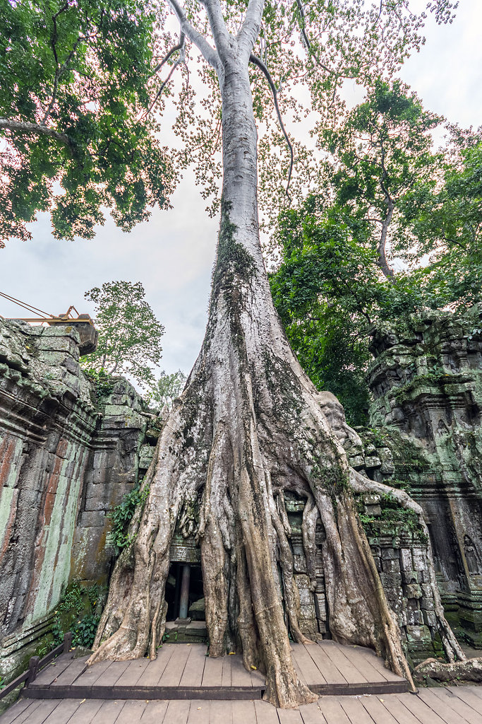IMG-6011-HDR.jpg