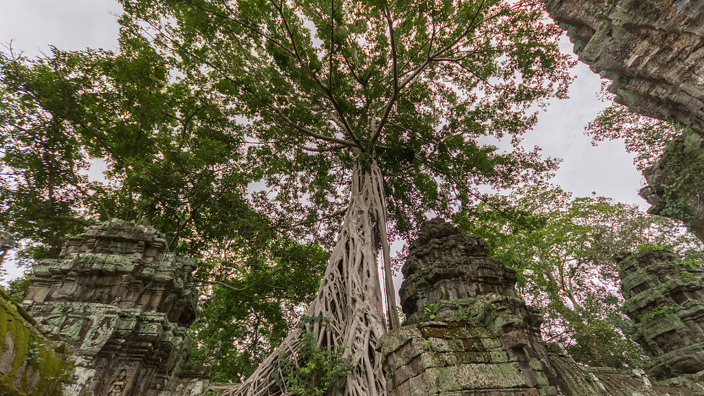 IMG-6035-HDR.jpg