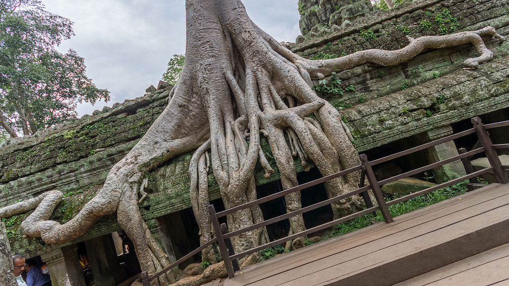 IMG-6059-HDR.jpg