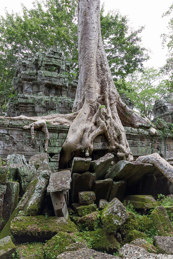 Ta Prohm