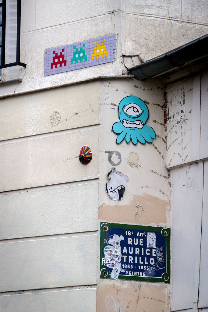 IMG-7386.jpg
