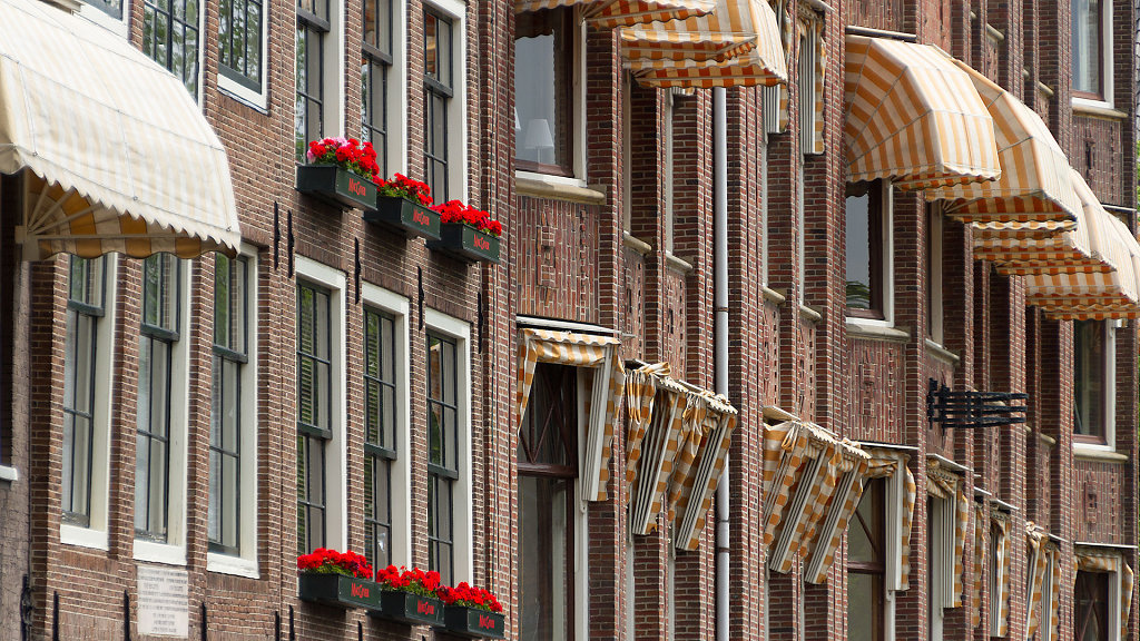 AMS-0058.jpg