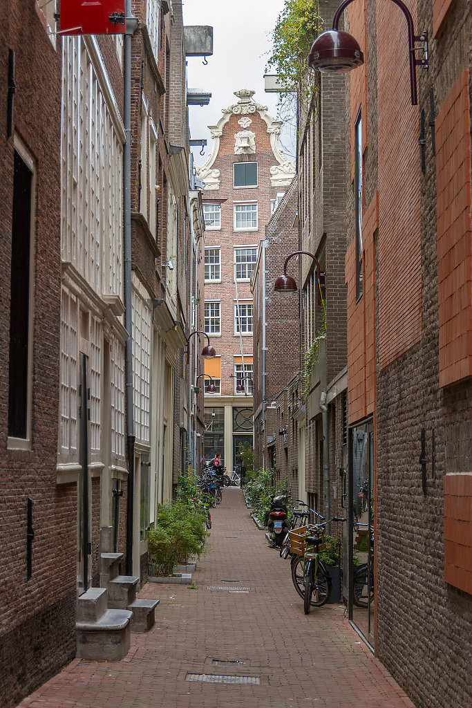 AMS-0091.jpg