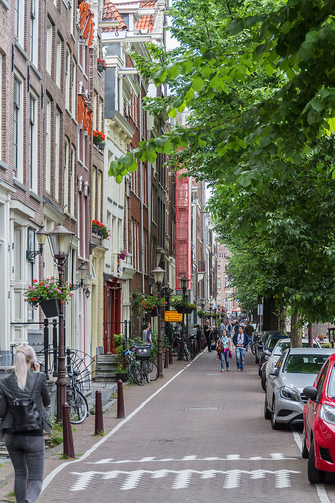 AMS-0190.jpg