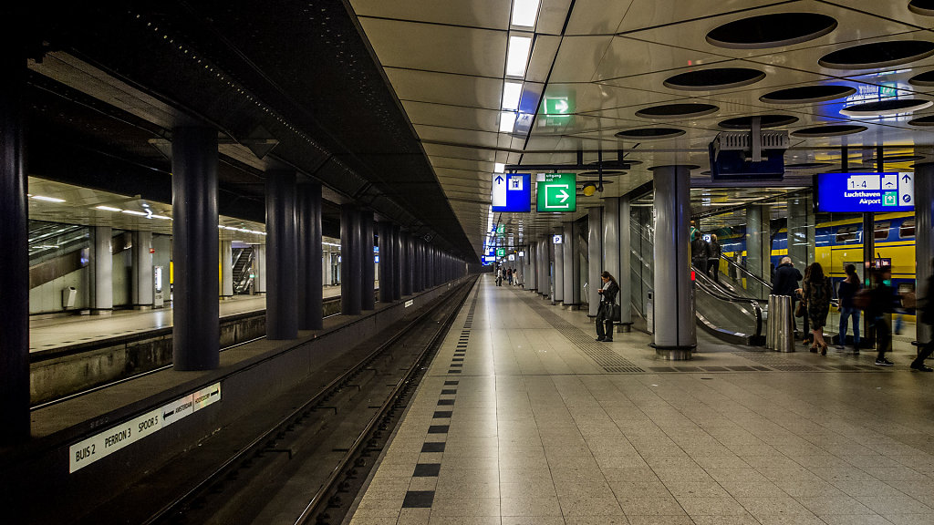 AMS-0293.jpg
