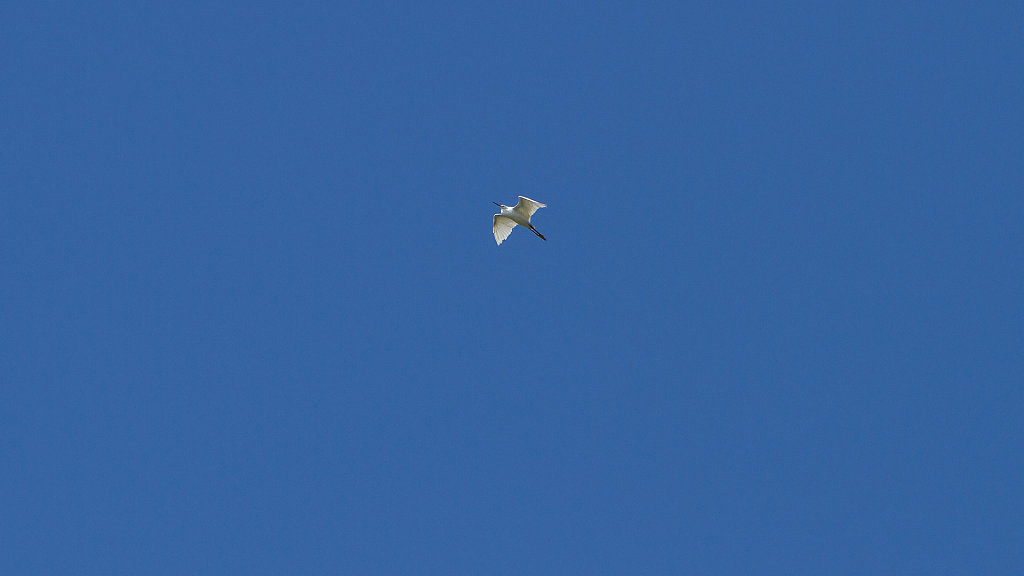 AMS-2649.jpg