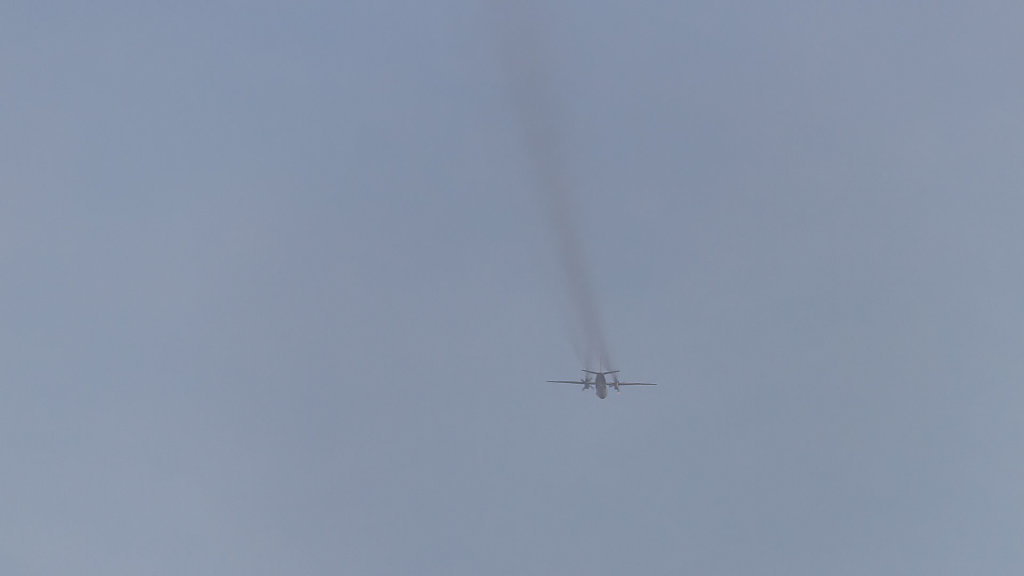 AMS-3606.jpg