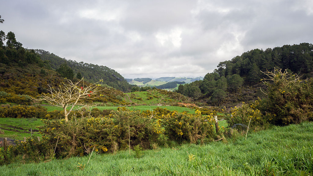AKL-5379.jpg