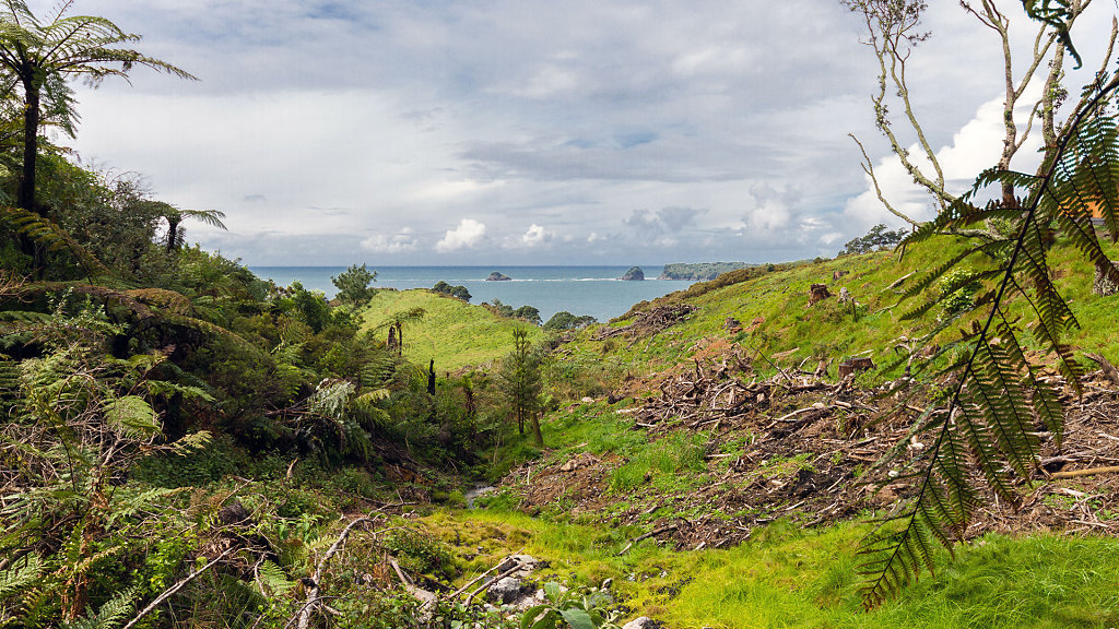 AKL-5380.jpg