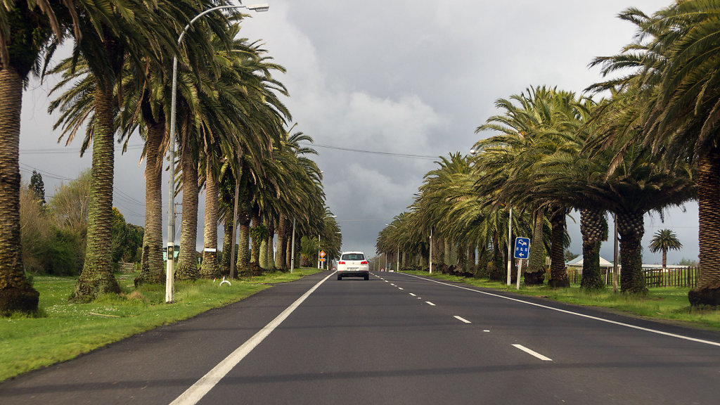 AKL-5478.jpg